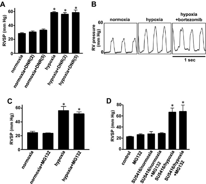 Figure 11.