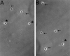 Fig. 3.