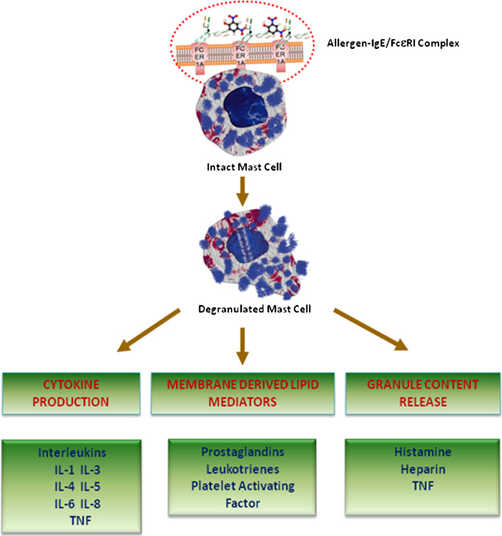 Fig. 2