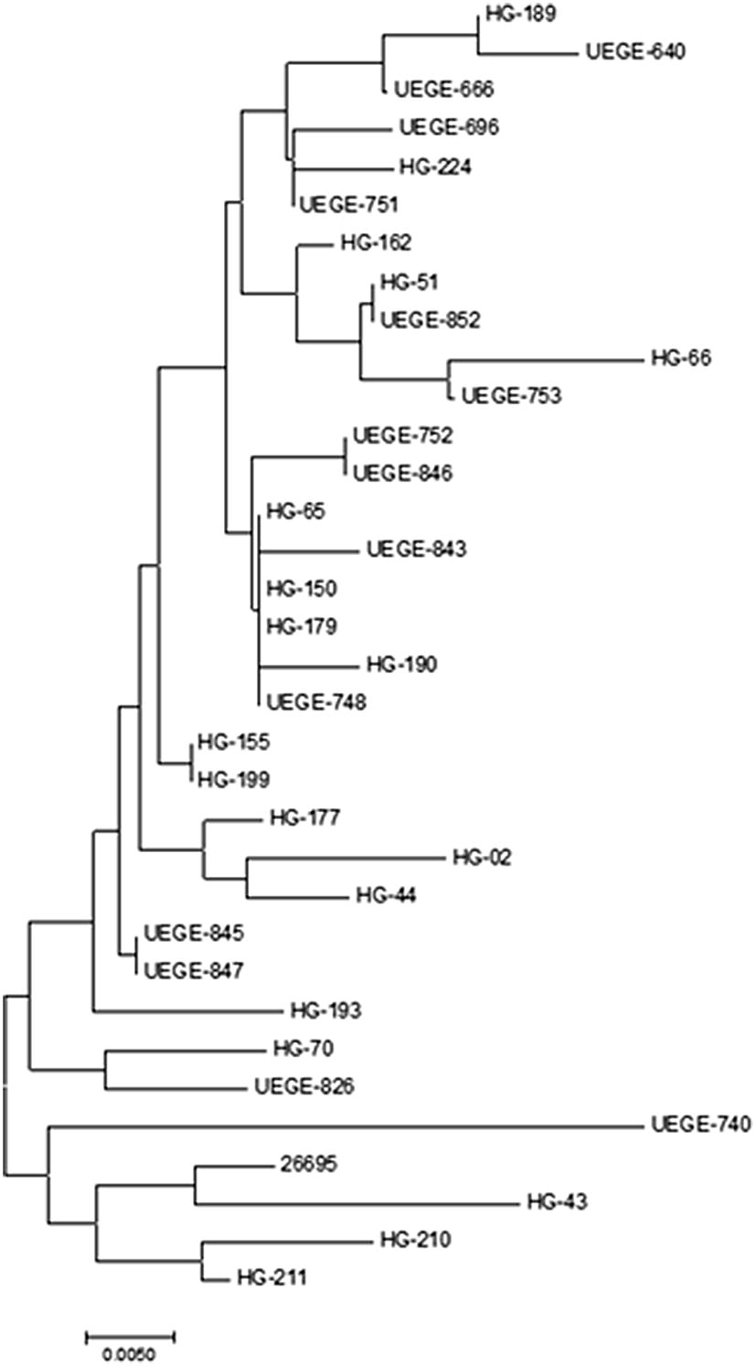 Fig. 5