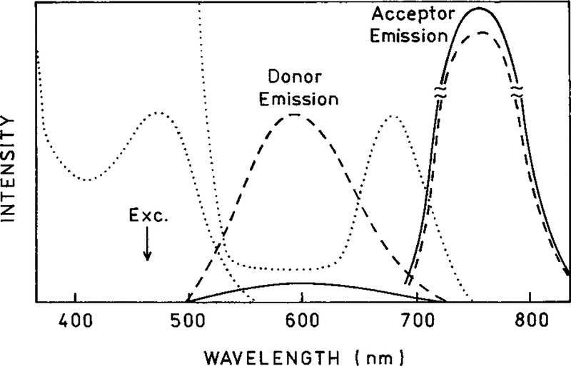 SCHEME 3.