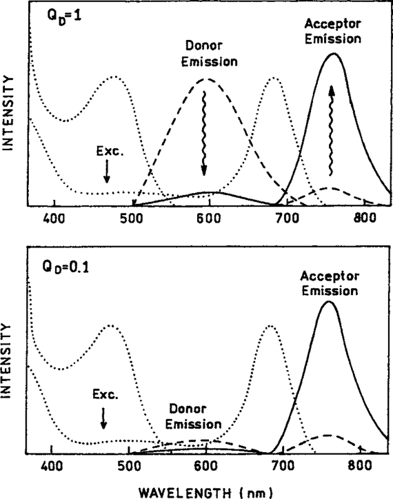 SCHEME 2.