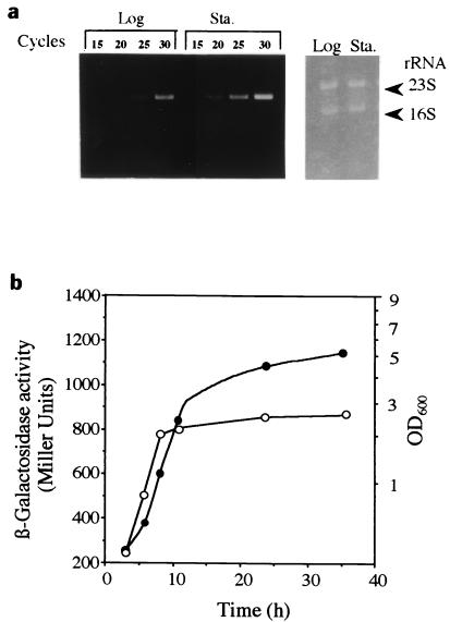 FIG. 5