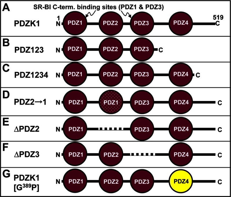 FIGURE 1.