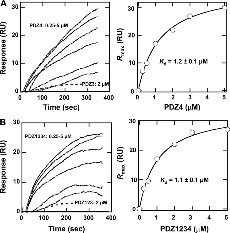 FIGURE 11.