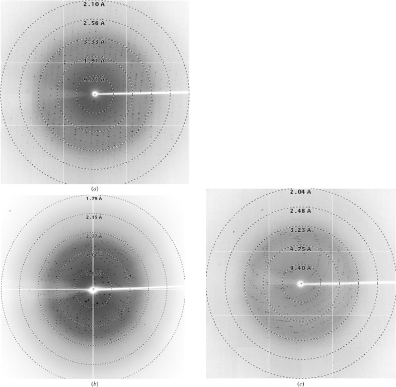 Figure 2