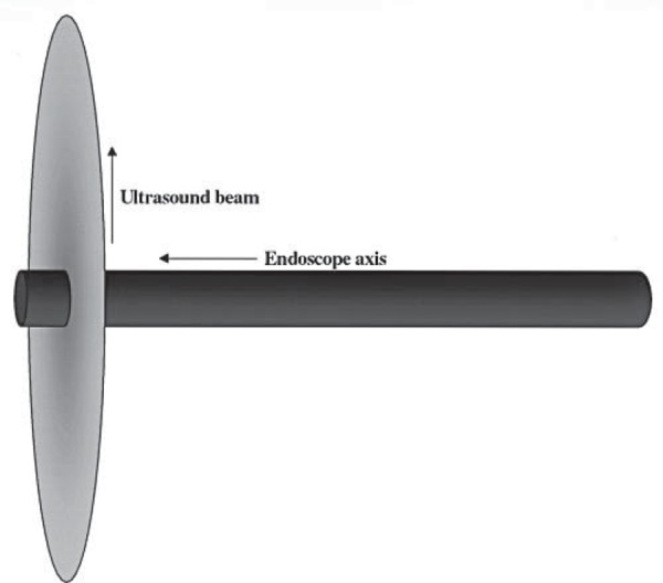 Fig. 2a