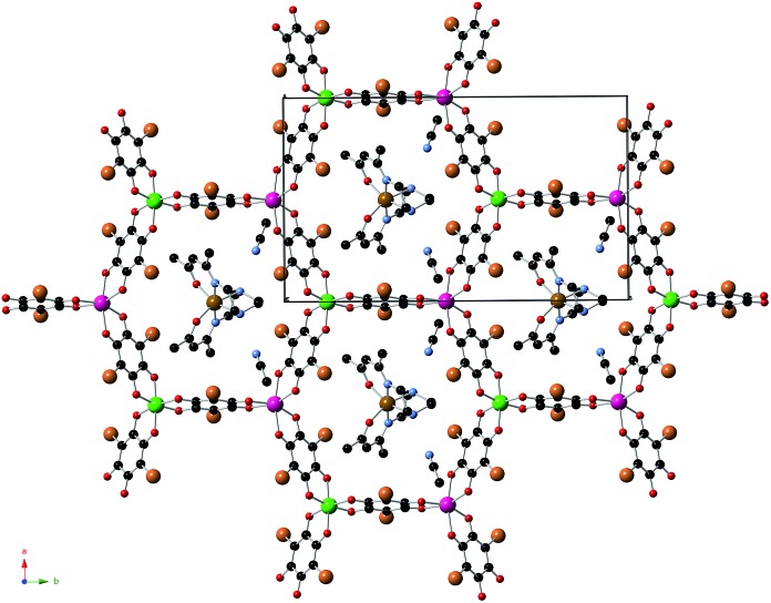 Fig. 1