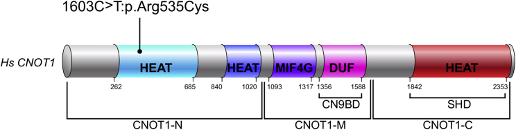 Figure 2