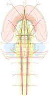 Fig. 14