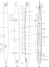 Fig. 12