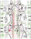 Fig. 9