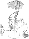 Fig. 10