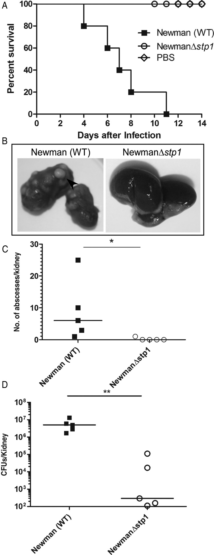 Figure 1.