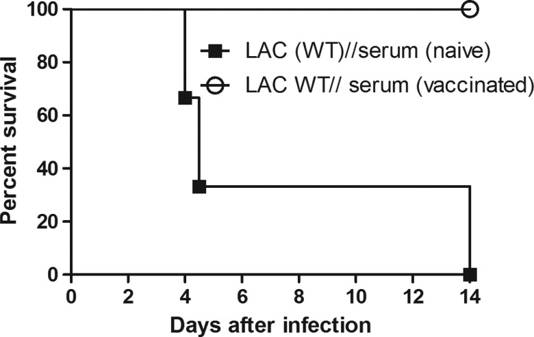 Figure 6.