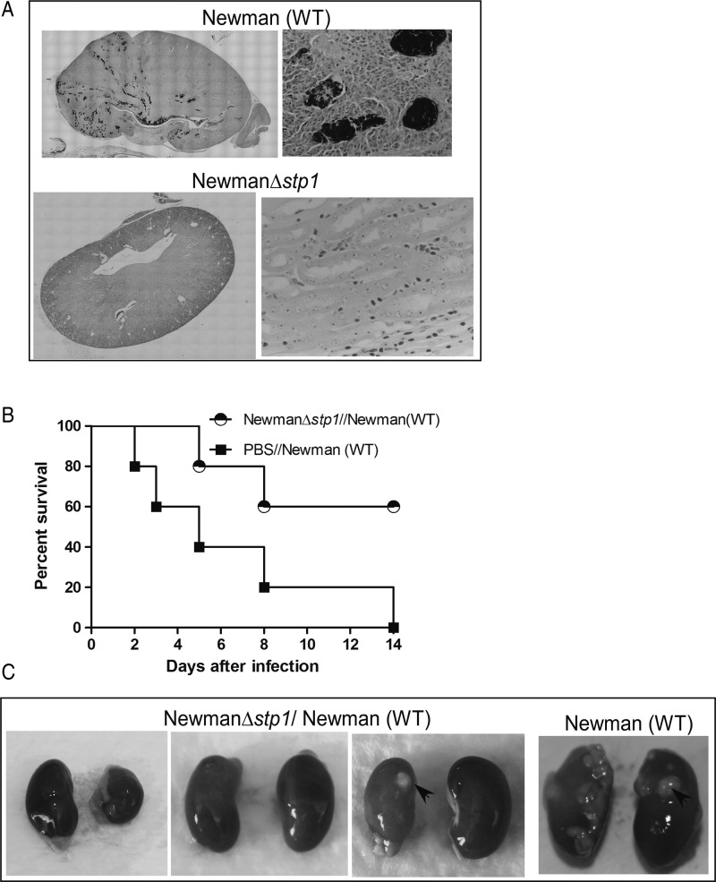 Figure 2.