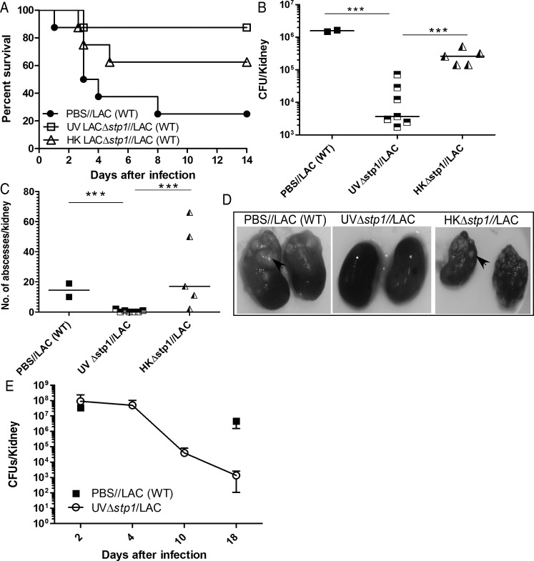 Figure 4.