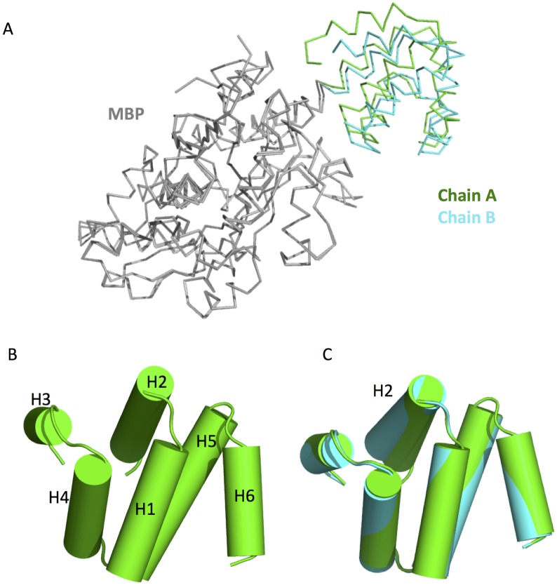 Fig 2