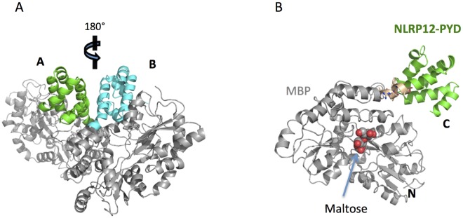 Fig 1