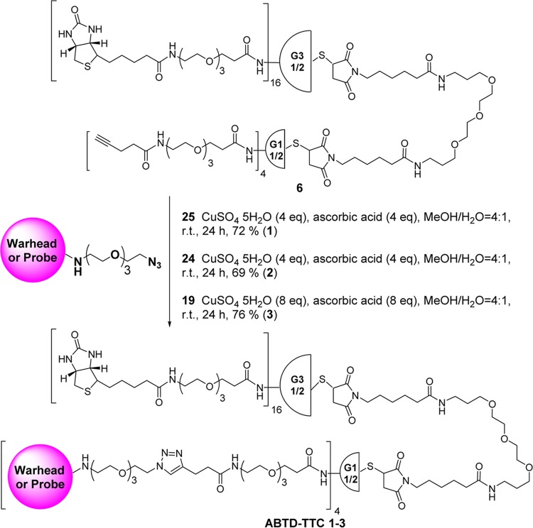 Scheme 8