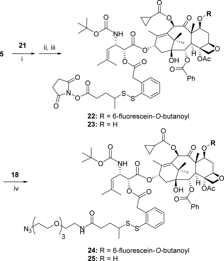 Scheme 5