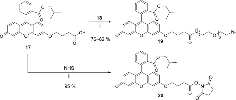 Scheme 3