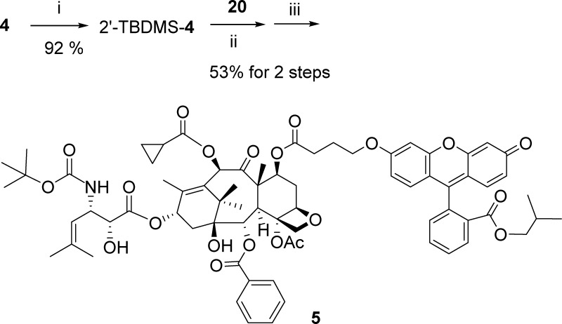 Scheme 4