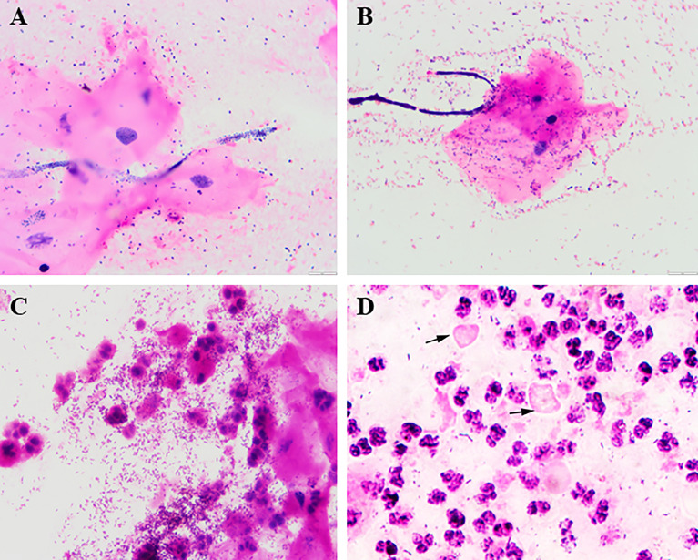 Figure 2