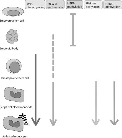 FIG. 10.