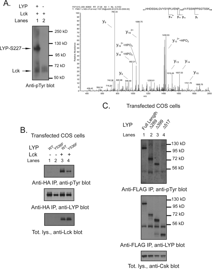 FIGURE 7.