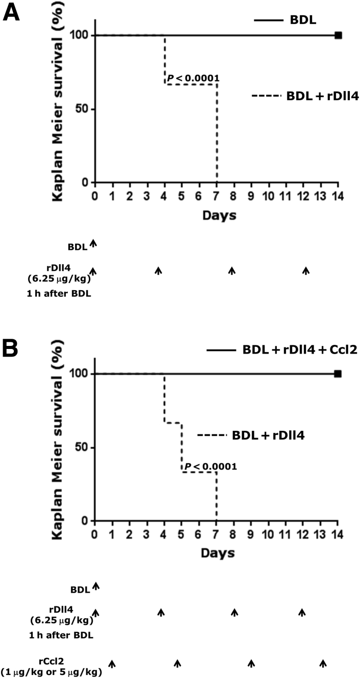 Figure 5