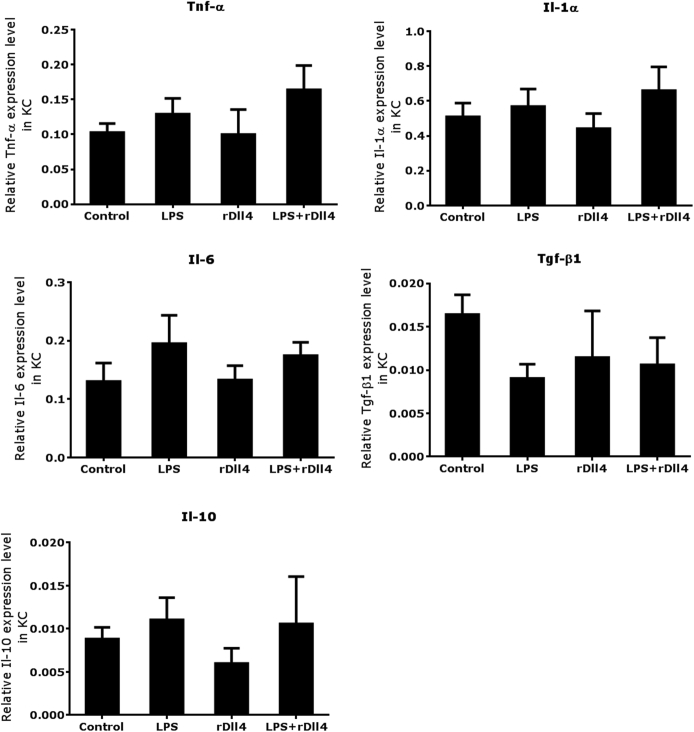 Supplemental Figure S1