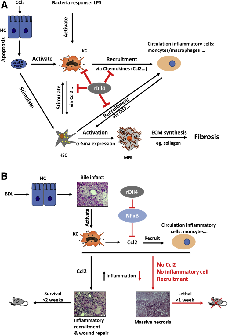 Figure 10