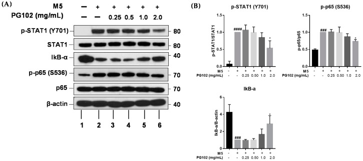 Figure 6