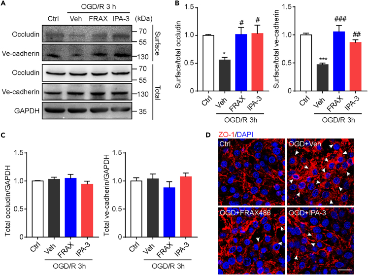 Figure 4