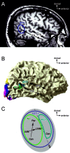 Fig. 6.