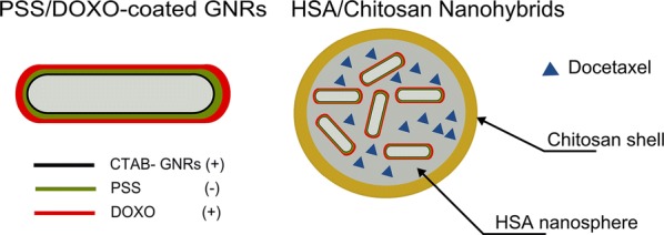 Scheme 1