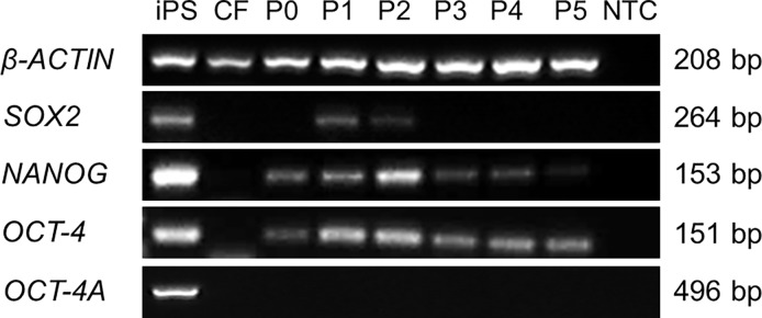 Fig 8