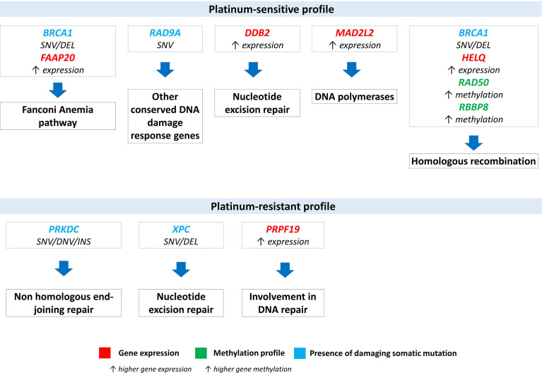 Figure 6