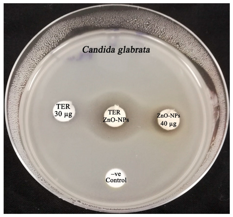 Figure 12