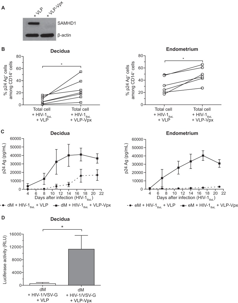 FIG 6