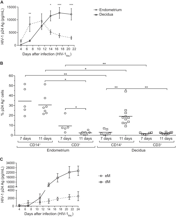 FIG 1