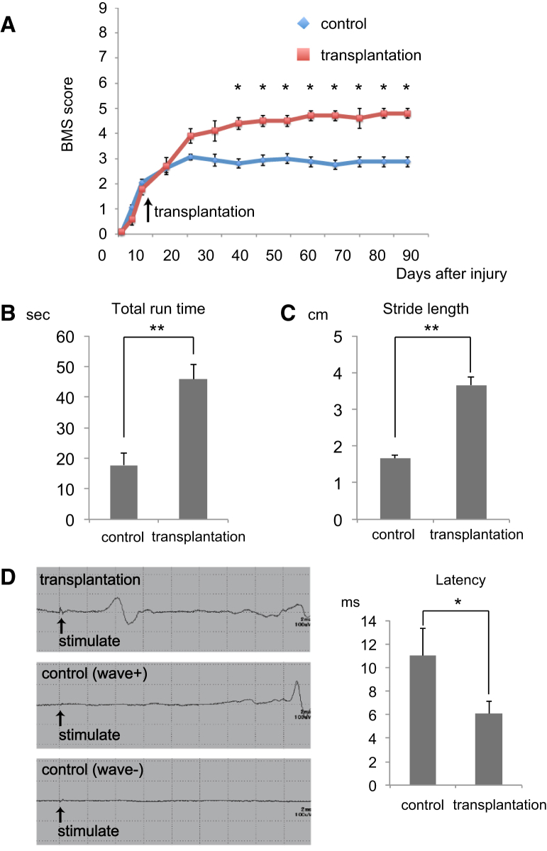 Figure 4