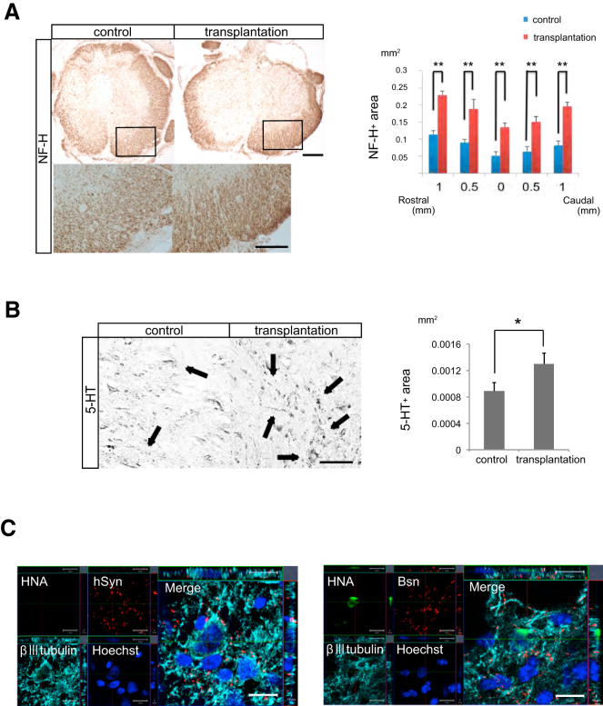 Figure 3