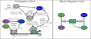 Figure 5—figure supplement 3.