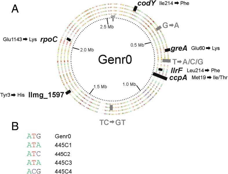 Fig. 4