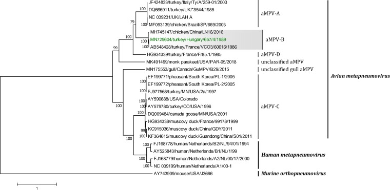 FIG 1