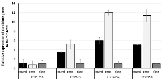 Figure 5. 