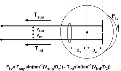 Figure 8.