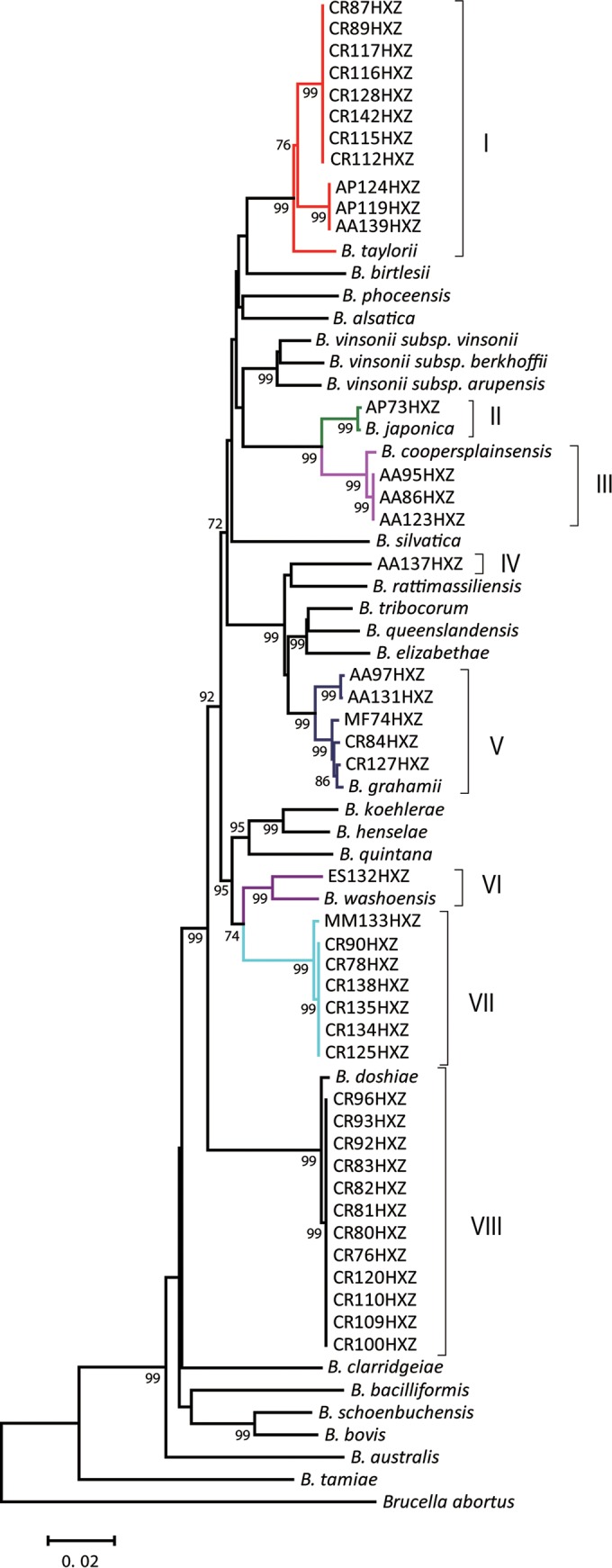 FIG 2